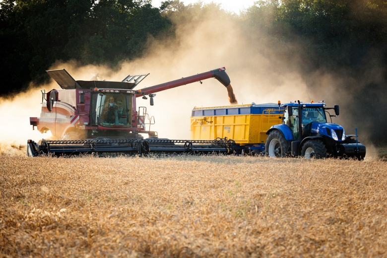 Россия резко увеличит площади пшеницы в 2022 году